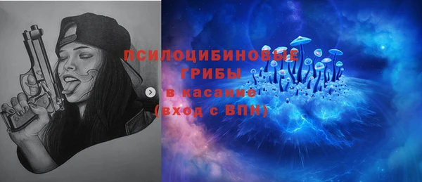 шишки Балахна